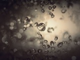 跳动的雨珠