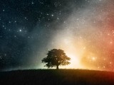 梦幻大自然