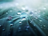 小水珠