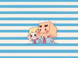 张小盒