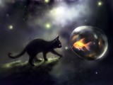 水彩小黑猫