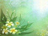绿色花卉