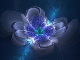 花纹设计