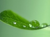 清晰小水珠