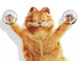 加菲猫