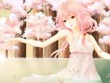 樱花仙子
