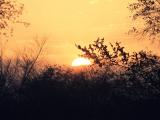 夕阳美景