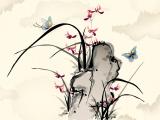 蝶恋花