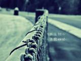 不忘初心 才能始终