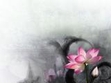  一花一世界