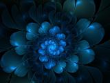 艺术之花