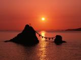 夕阳无限好