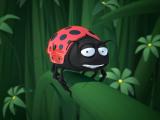 瓢虫