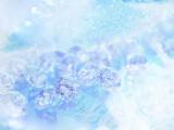 水晶之恋