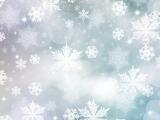 素雅雪花