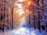 冬日雪景