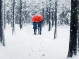 雪中漫步
