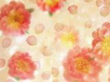 淡雅花朵