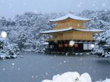 美丽雪景