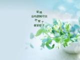 爱情没有逻辑可言