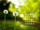 爱情要经得起考验