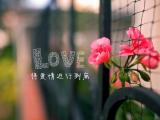 将爱情进行到底