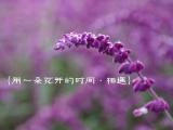 花开的时间相遇