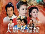 大唐女巡按