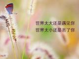 丢失了你