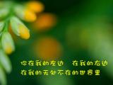 我的世界全是你