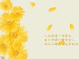 人生就像舞会