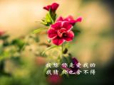 舍不得