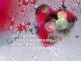 学会珍惜