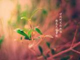  相遇亦复重逢