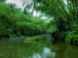 蜀南竹海
