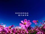 我只在乎你
