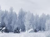 下雪