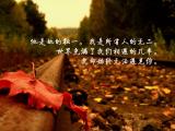 无法遇见你