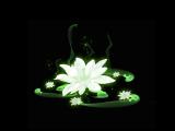 伤心花