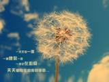 天天都有你和我的画面