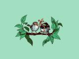 小鸟的爱情
