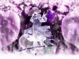 紫色樱花夜
