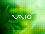 VAIO