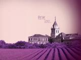 时光记忆
