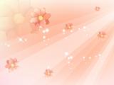 靓丽花纹