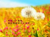 珍贵的拥抱