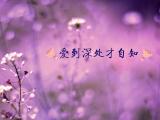 爱到深处才自知