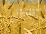 努力了就值得