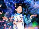 宫锁珠帘怜儿