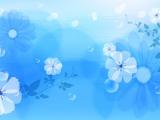 素雅花瓣